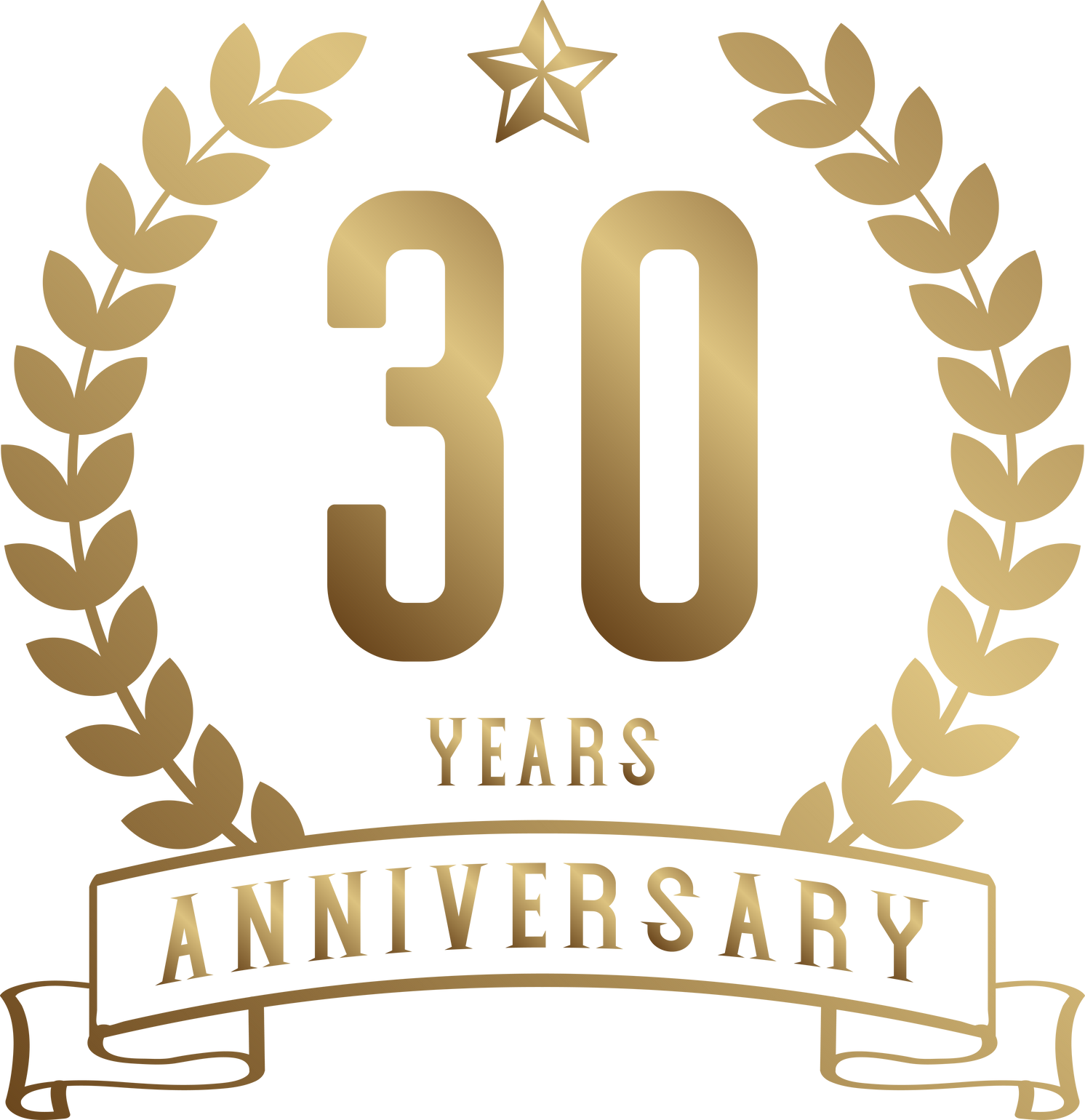 30 years anniversary celebration